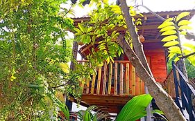 Parrot Tree House