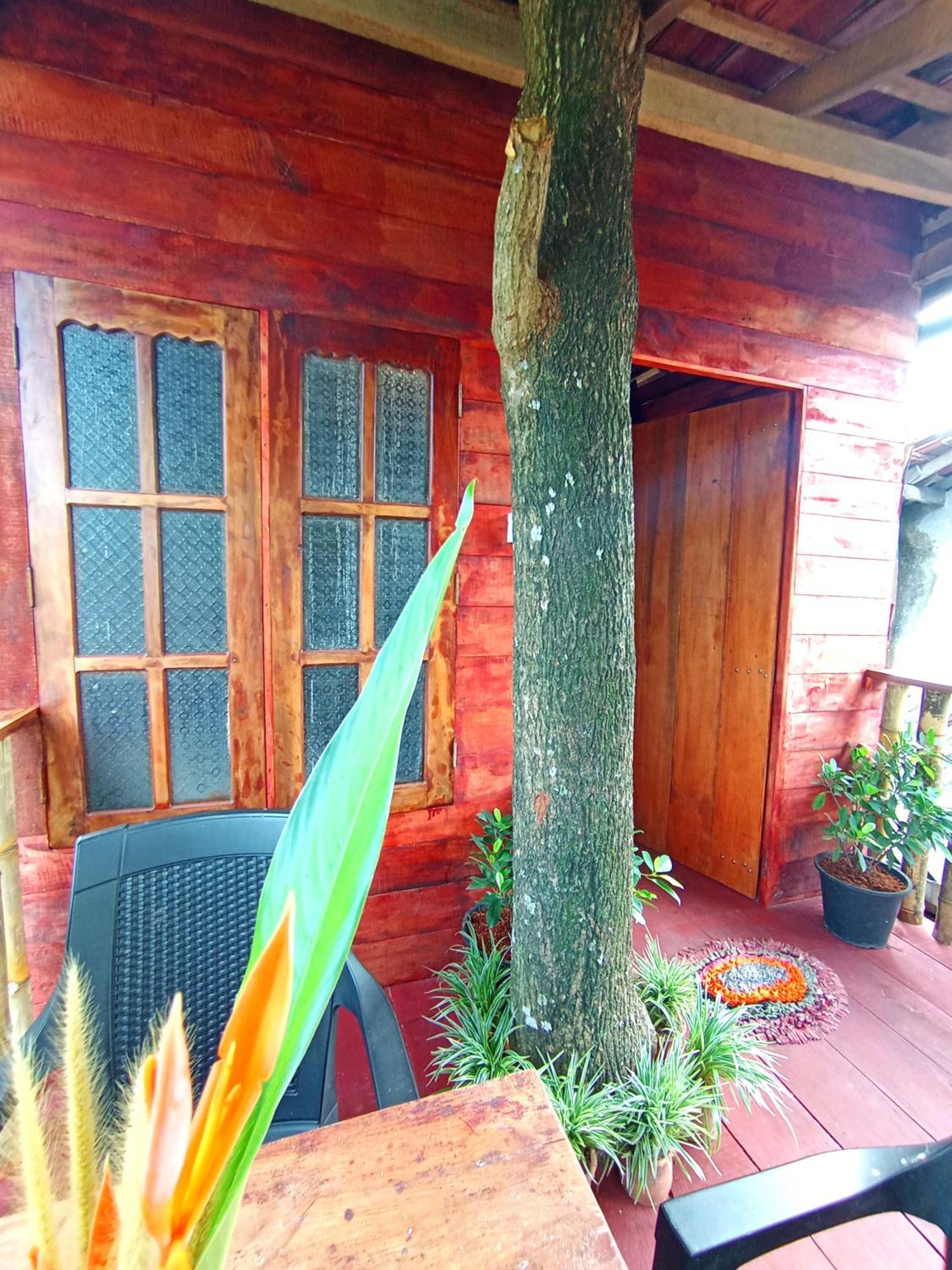 Parrot Tree House Villa Mirissa Exterior photo