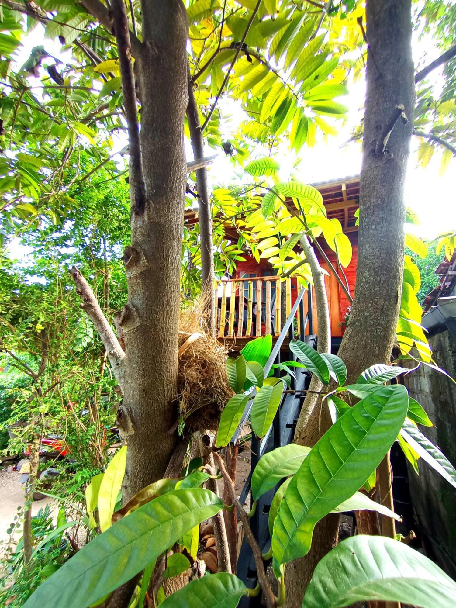 Parrot Tree House Villa Mirissa Exterior photo
