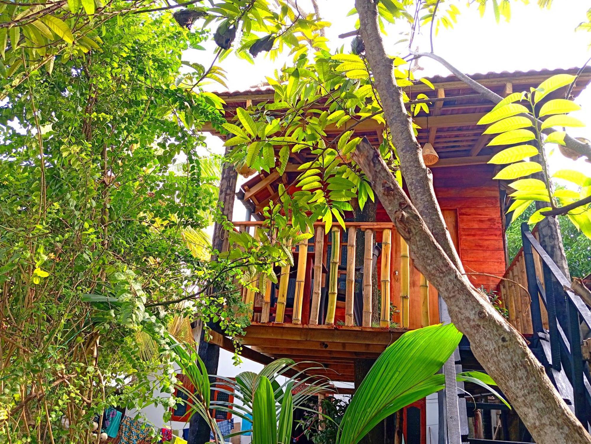 Parrot Tree House Villa Mirissa Exterior photo