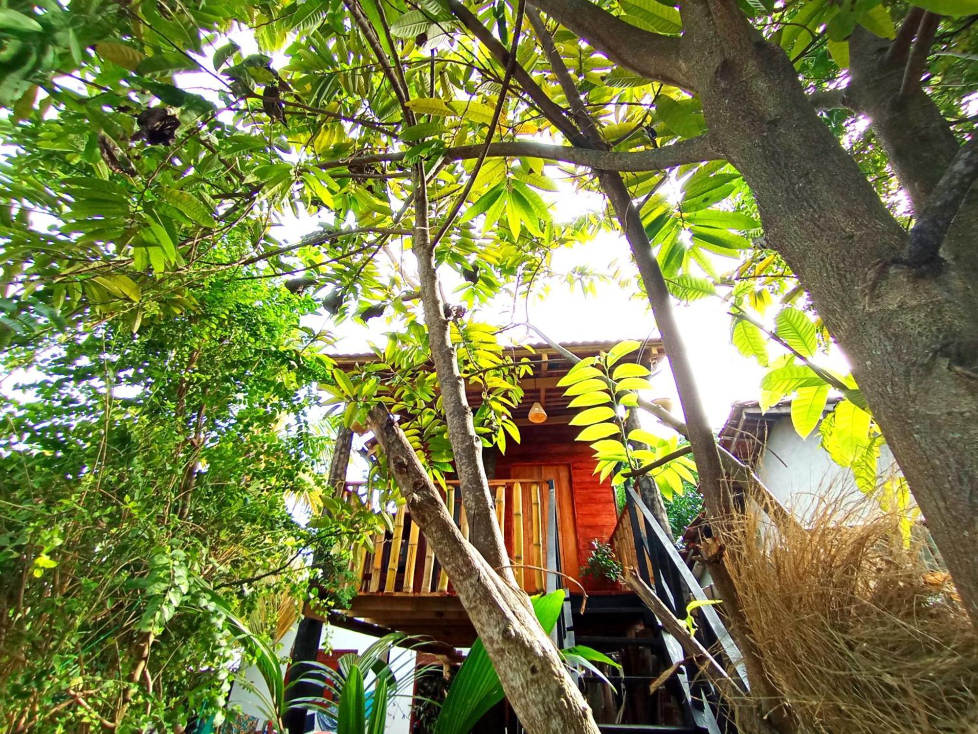 Parrot Tree House Villa Mirissa Exterior photo