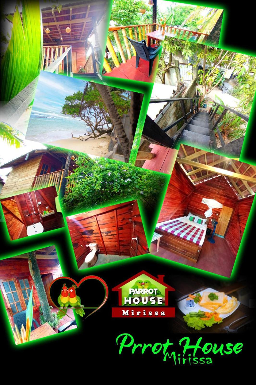 Parrot Tree House Villa Mirissa Exterior photo